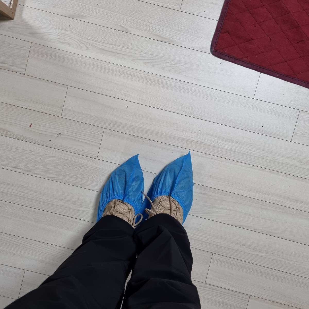 박영준 후기 사진 1
