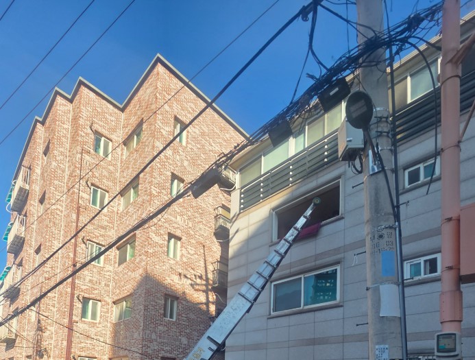 박양수 후기 사진 2