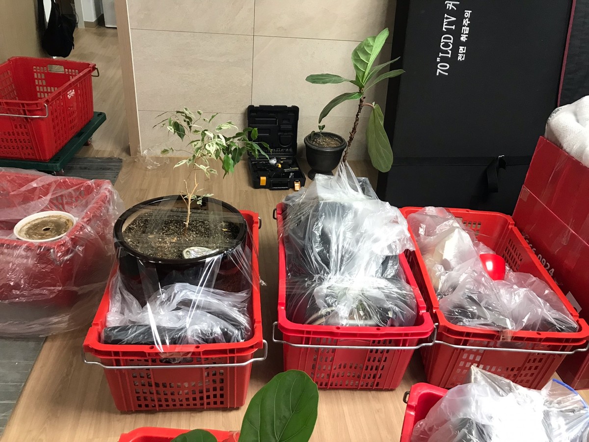 박성필 후기 사진 16
