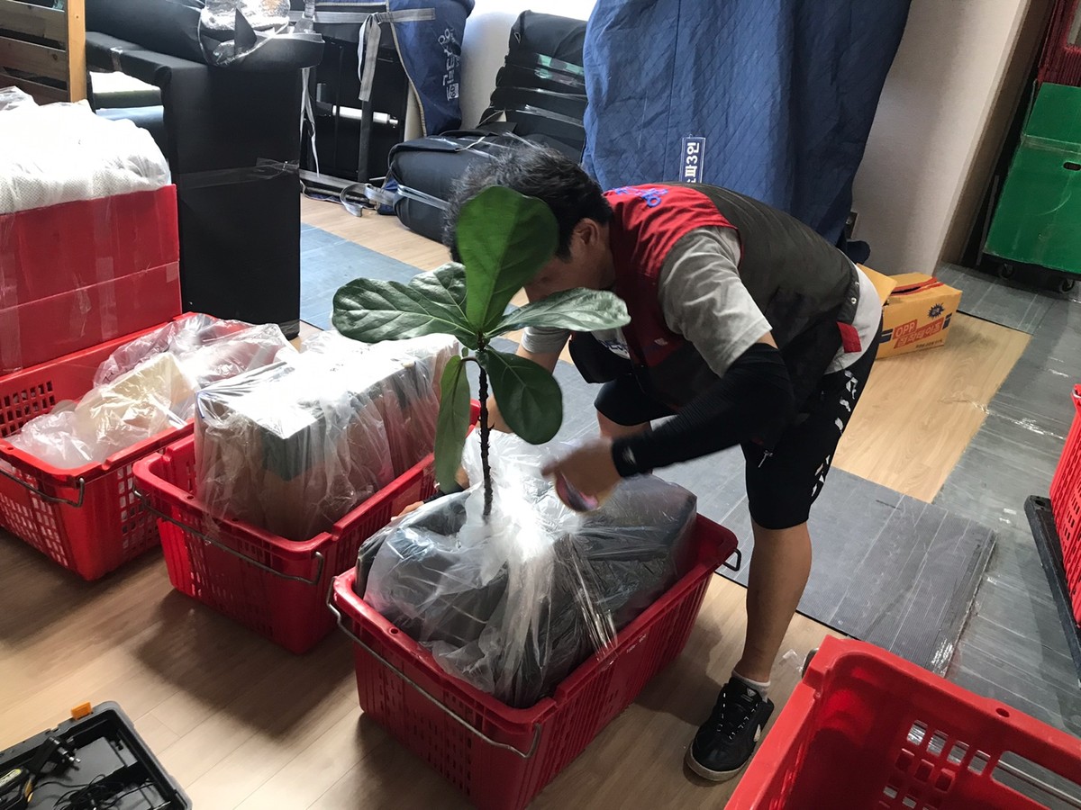 박성필 후기 사진 15
