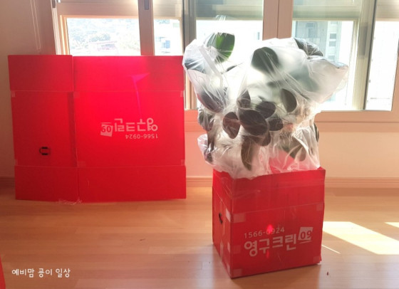 김민경 후기 사진 9