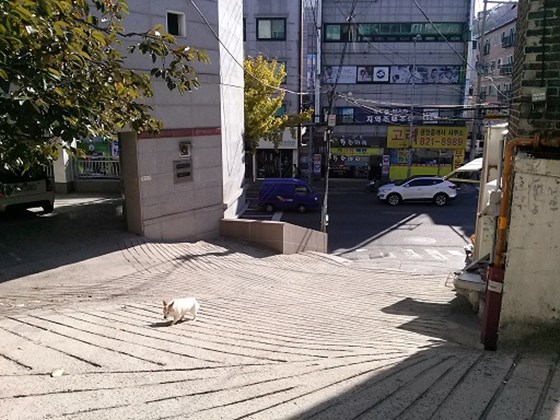 최윤정 후기 사진 1