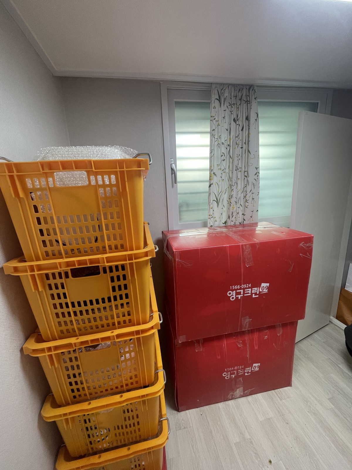 이진영 후기 사진 4
