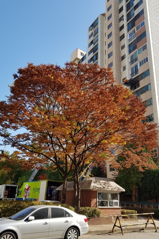 권영경 후기 사진 1