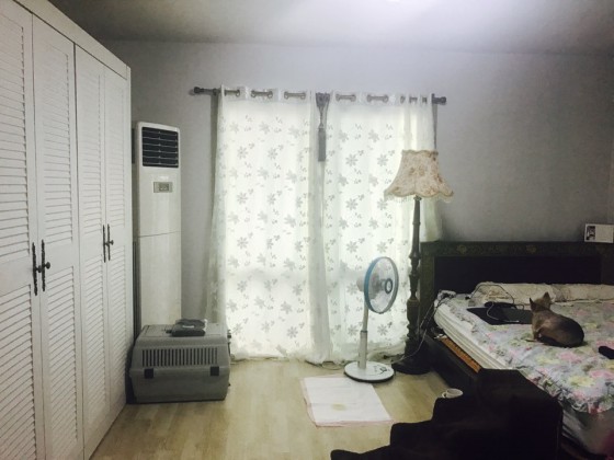 임미희 후기 사진 2