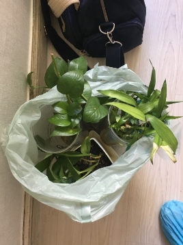 신아영 후기 사진 13