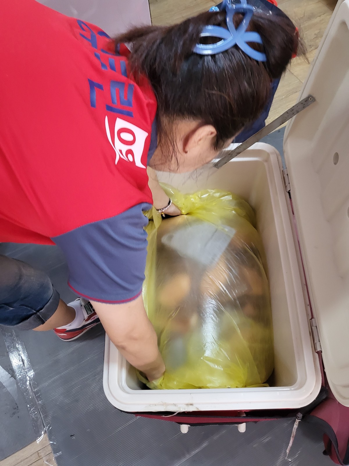 정지혜 후기 사진 16