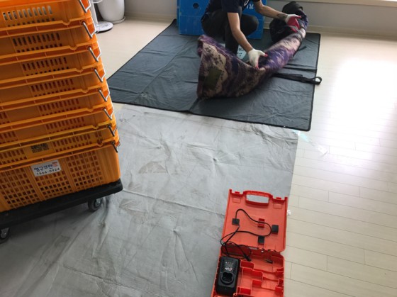 김영성 후기 사진 19