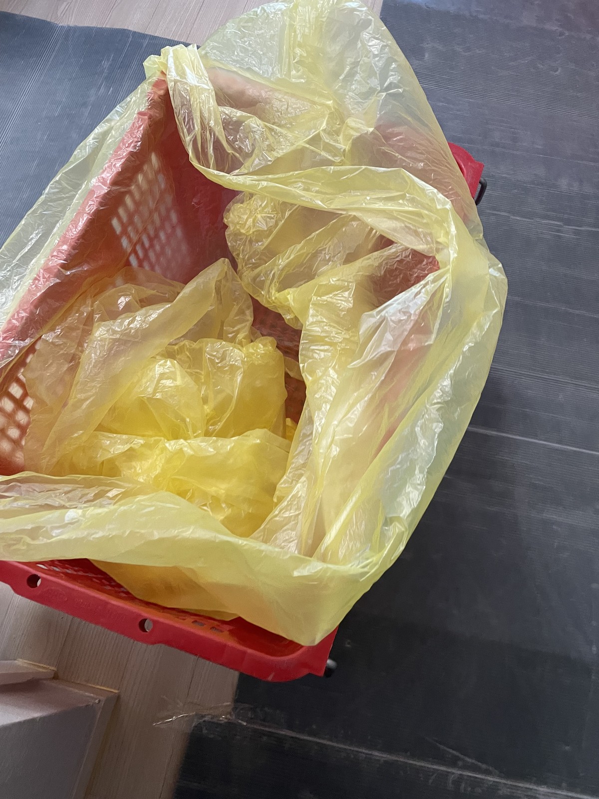 오유진 후기 사진 2