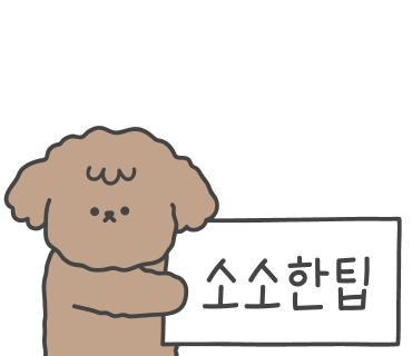 김승주 후기 사진 18