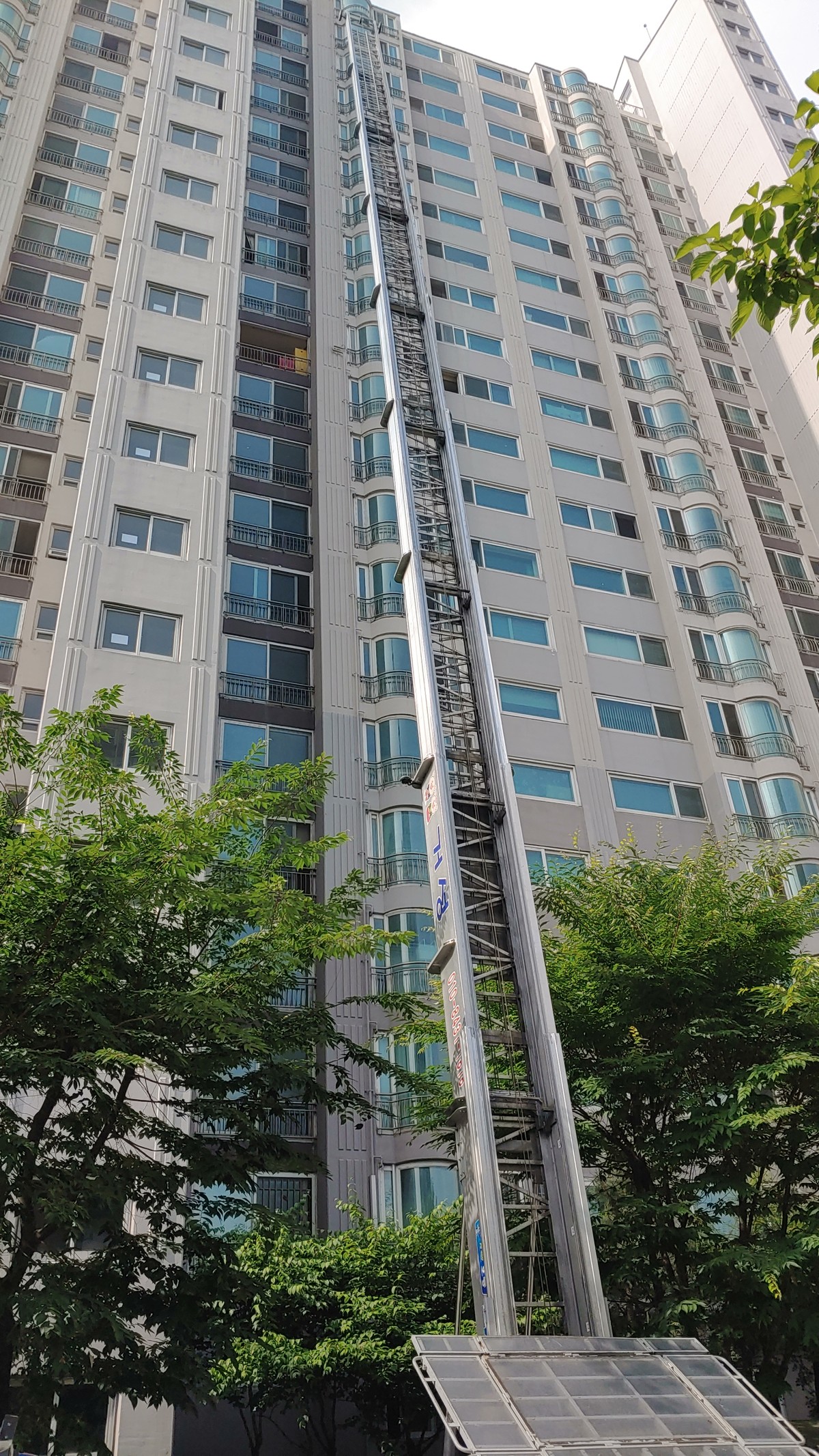 임대륜 후기 사진 1
