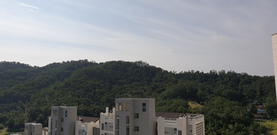 김이애 후기 사진 1