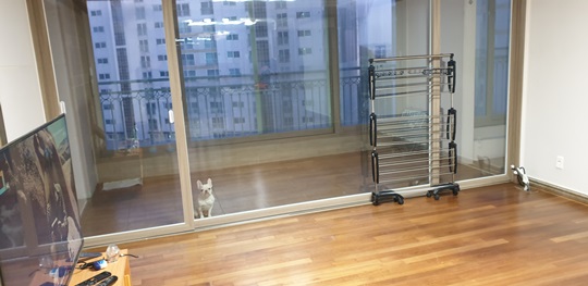 강유나 후기 사진 1