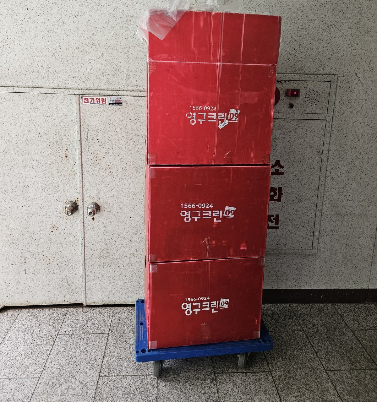 임기현 후기 사진 5