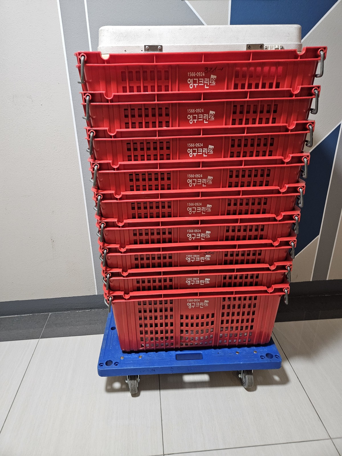 임기현 후기 사진 1