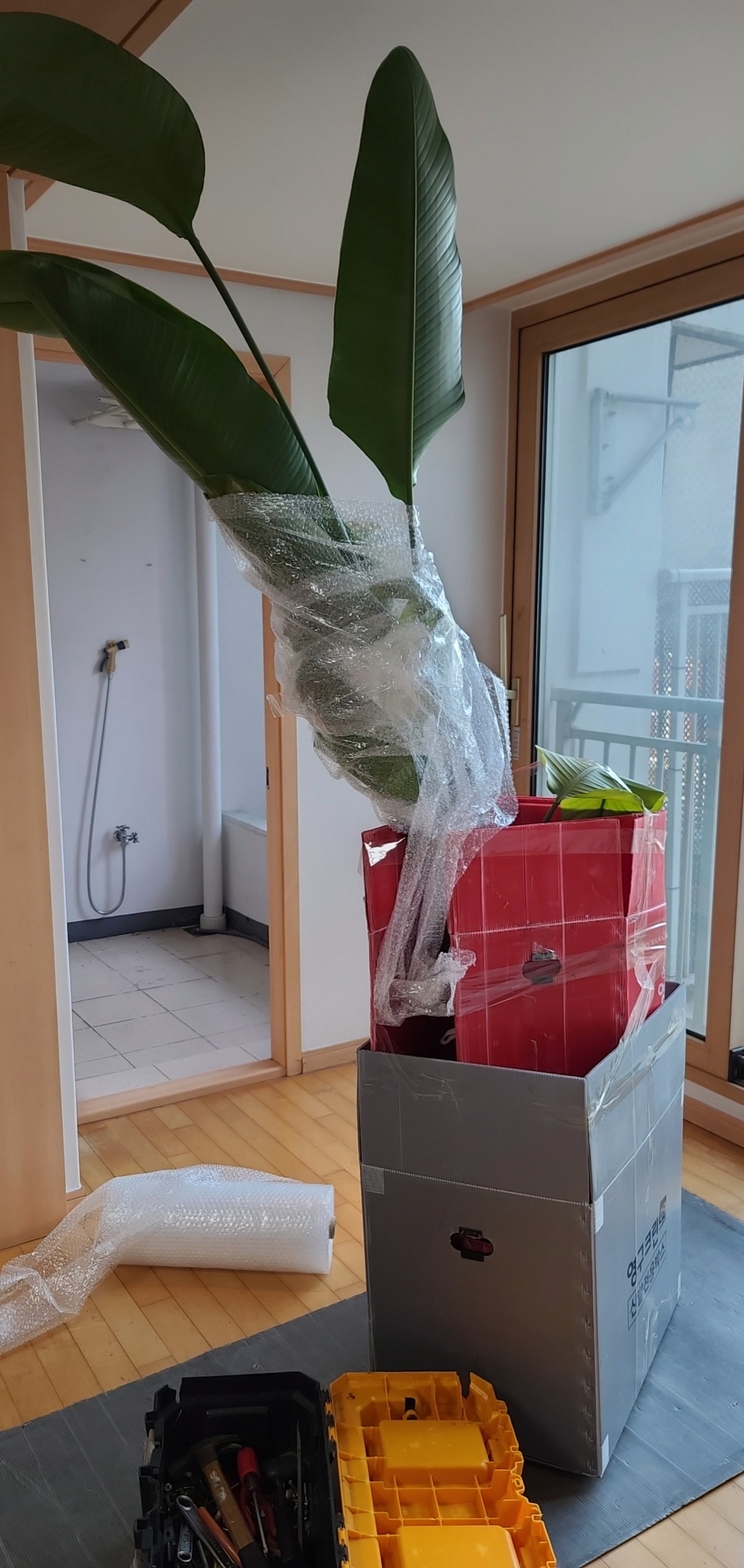 한가연 후기 사진 3