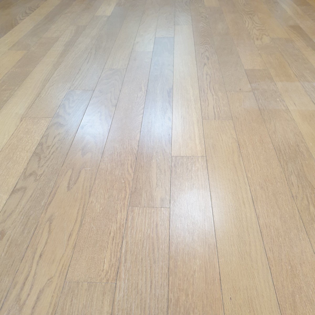 최민준 후기 사진 1