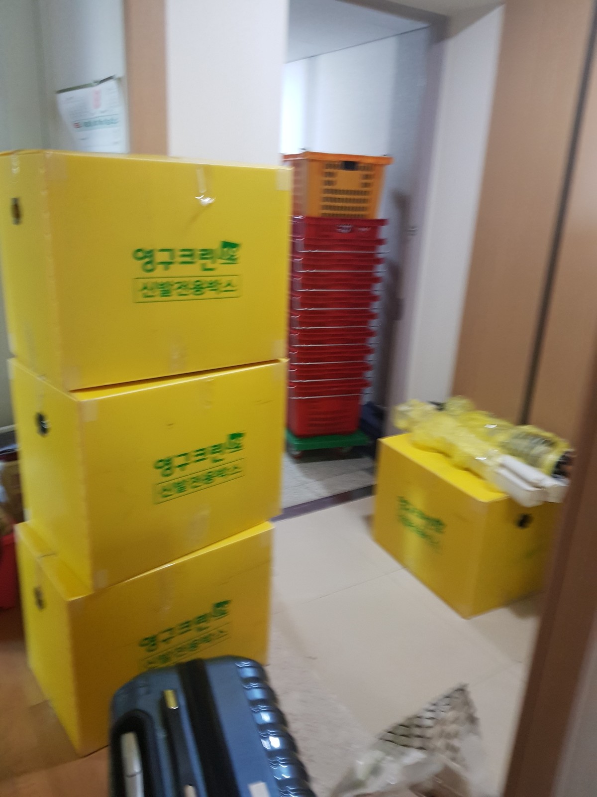 조수현 후기 사진 6