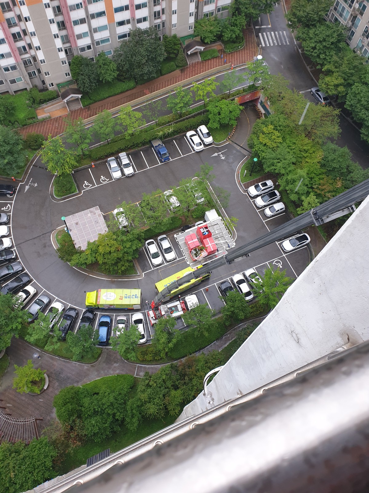 이정태 후기 사진 8