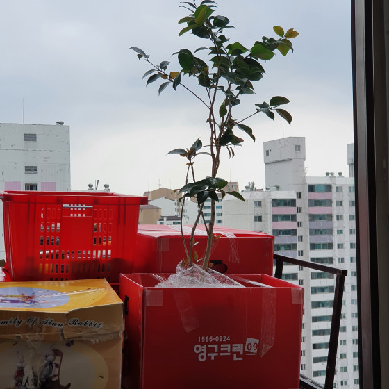 권순우 후기 사진 6