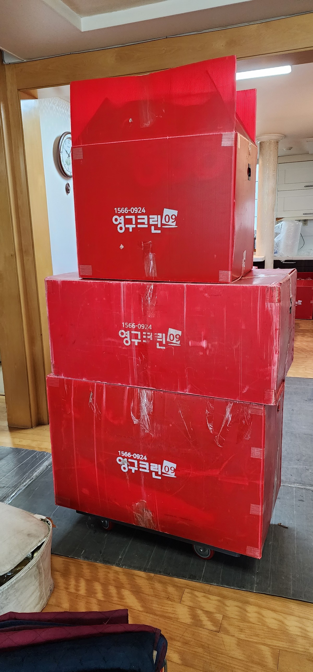 김영미 후기 사진 1