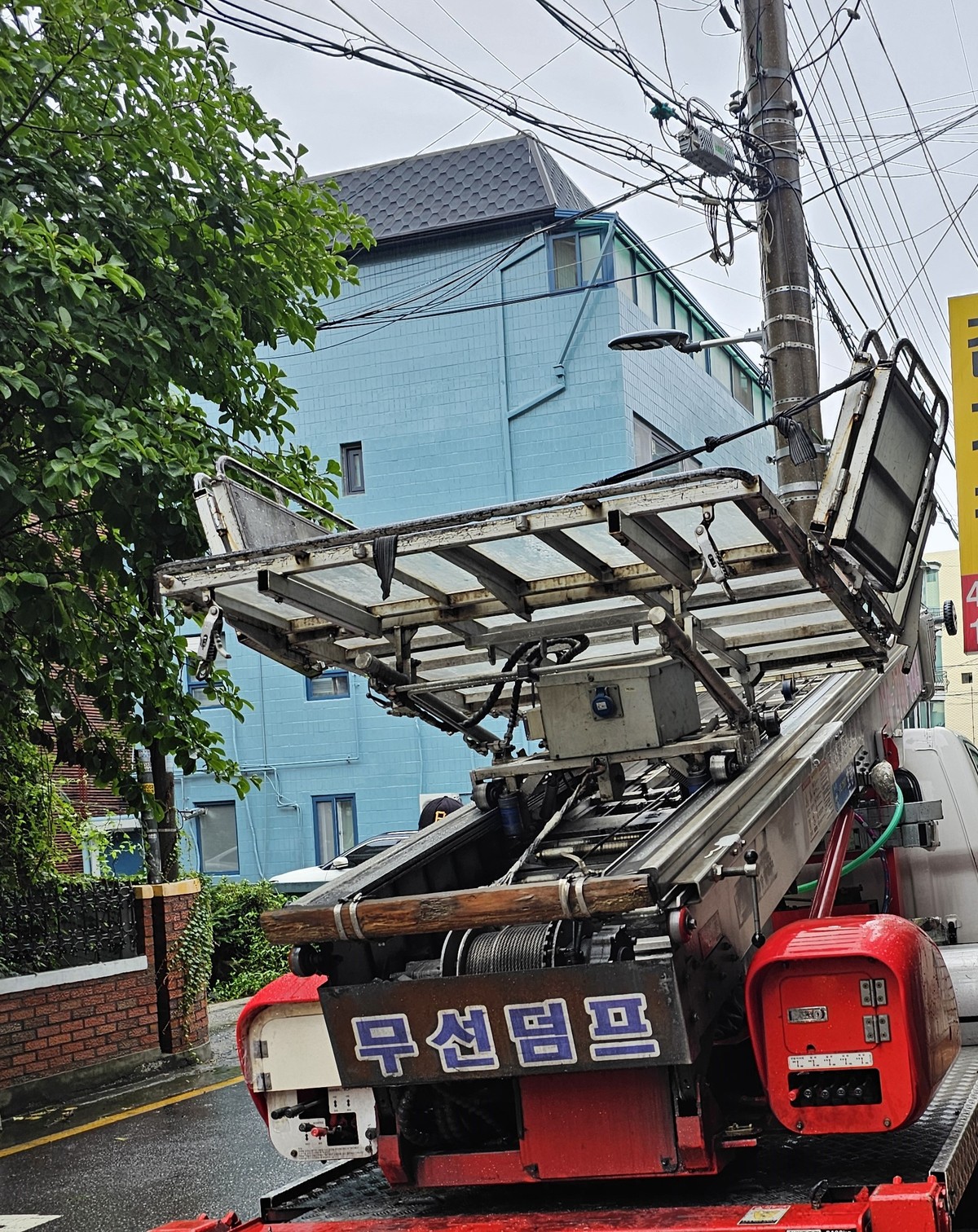 오다빈 후기 사진 2