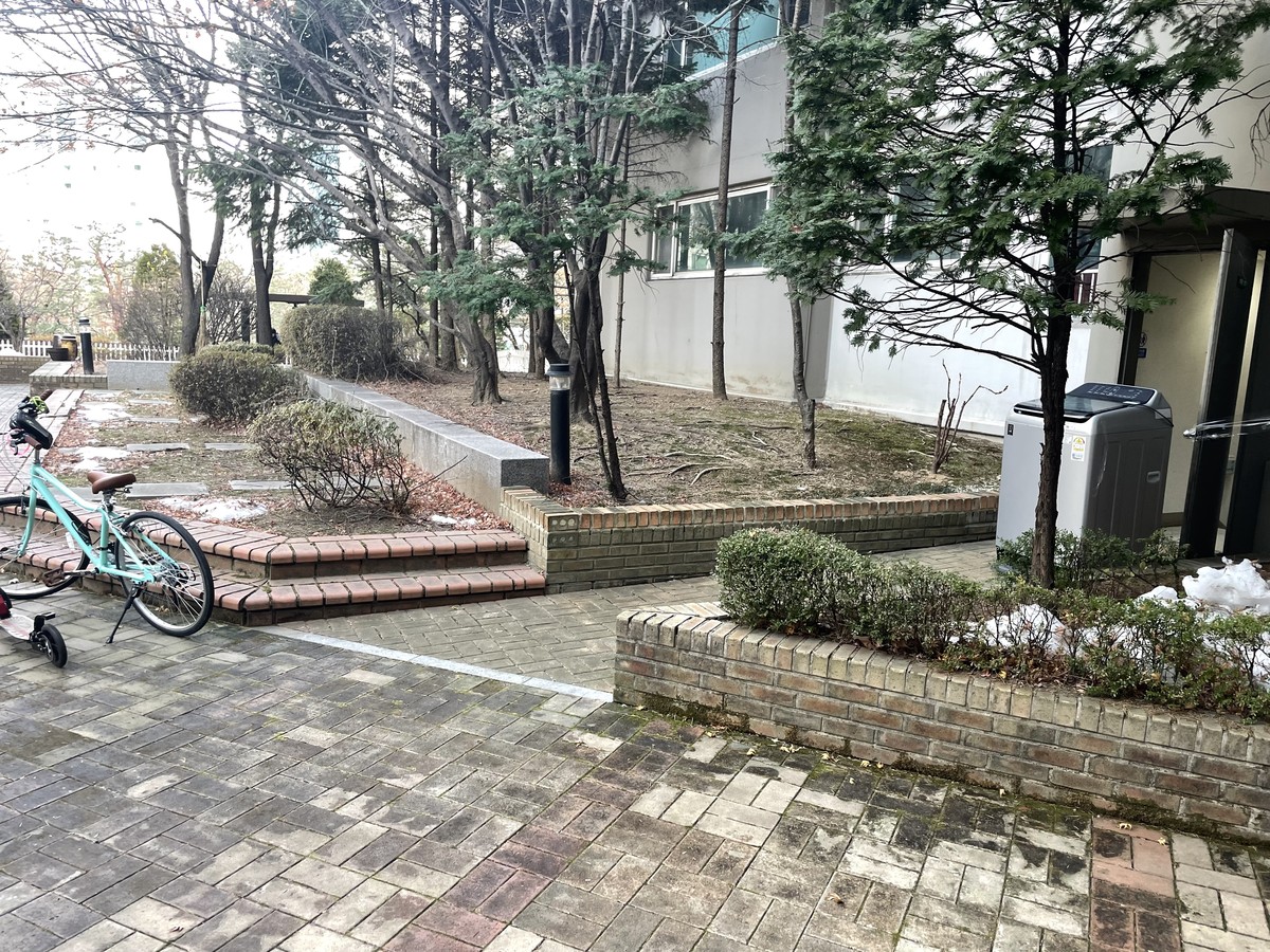 이상균 후기 사진 5