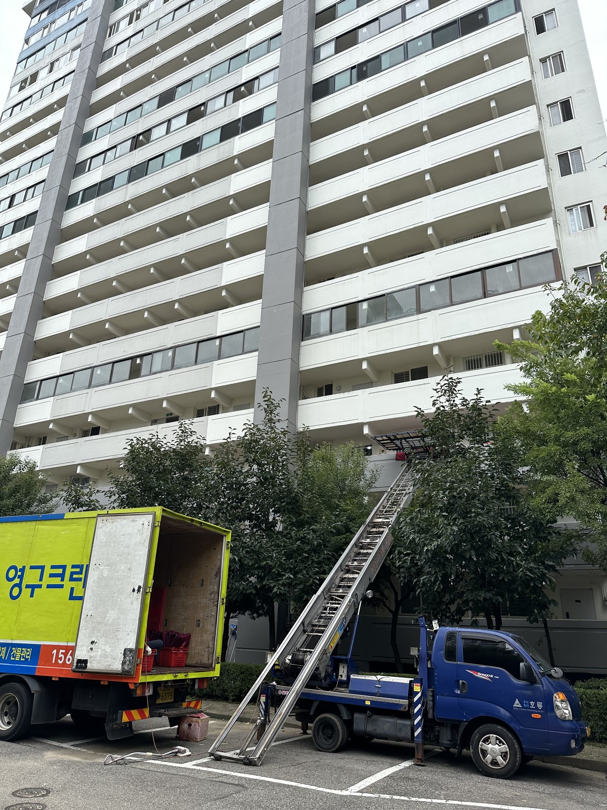 엄효범 후기 사진 1