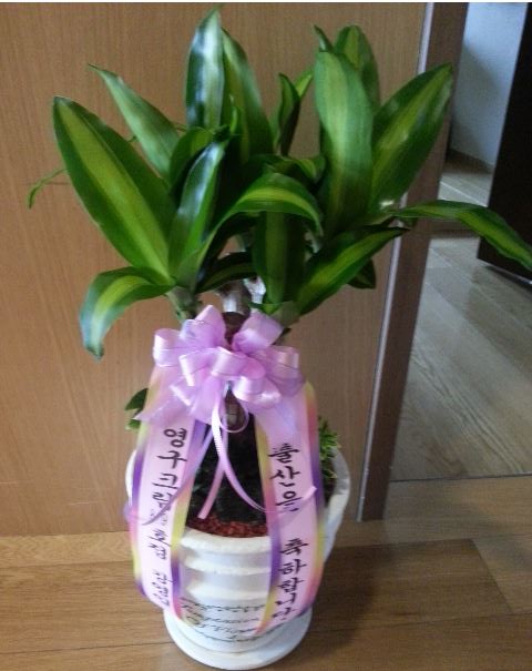 김순하 후기 사진 1