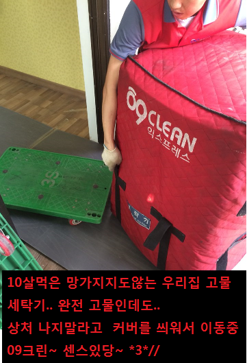 이종숙 후기 사진 14