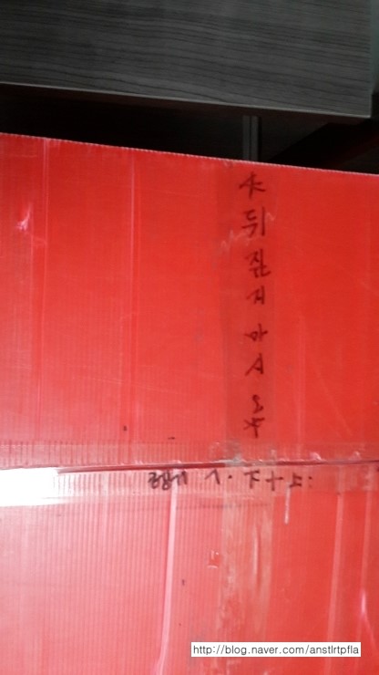 박세림 후기 사진 13
