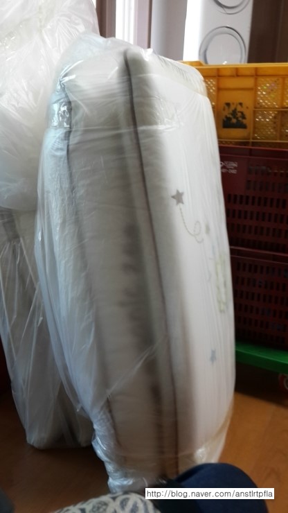 박세림 후기 사진 7