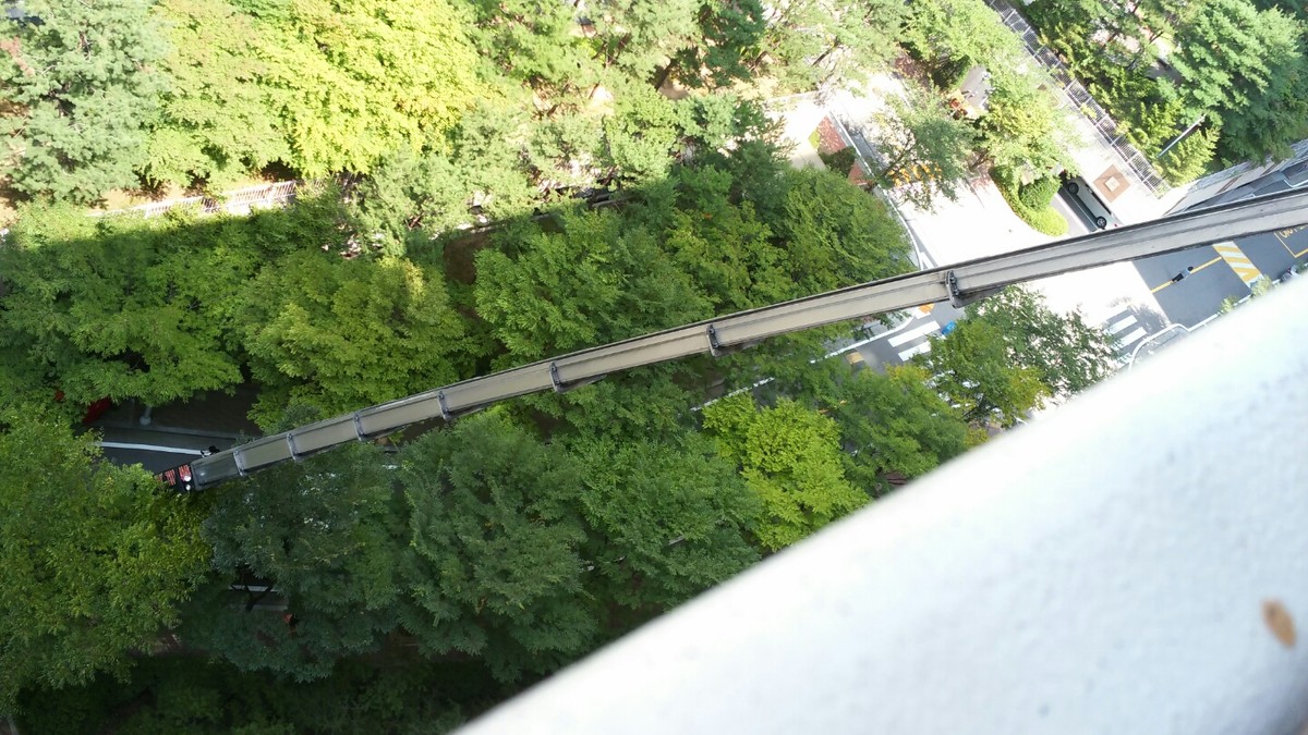 황선영 후기 사진 3