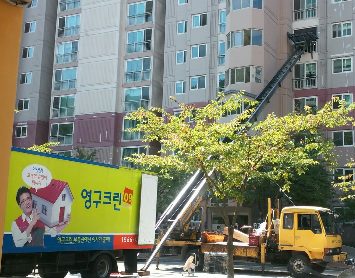 황선영 후기 사진 5