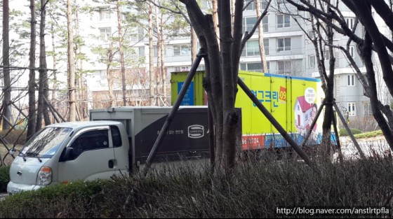 박세림 후기 사진 1