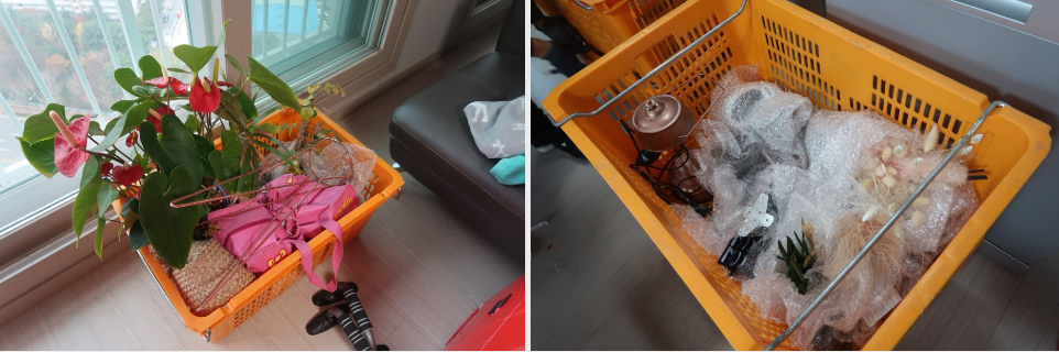 안지인 후기 사진 5