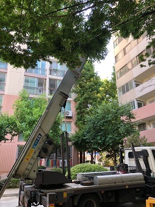 박은진 후기 사진 4
