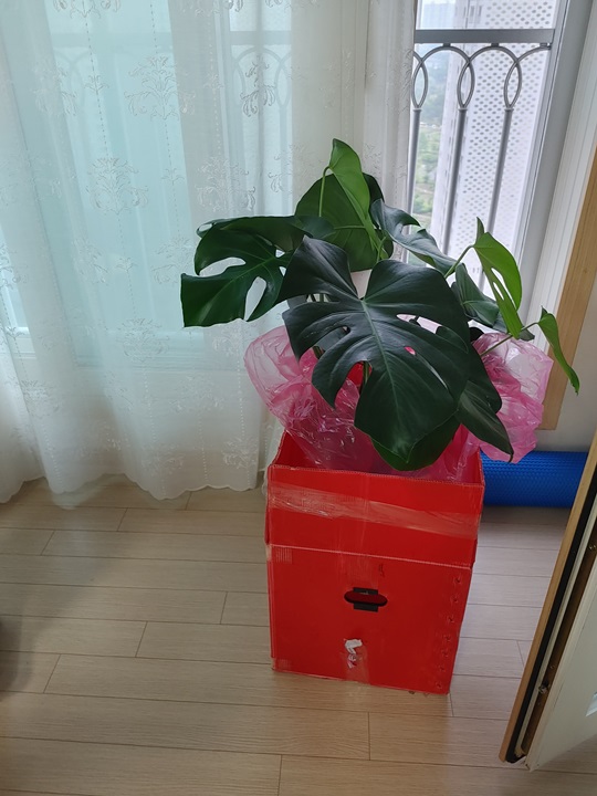 박세림 후기 사진 19