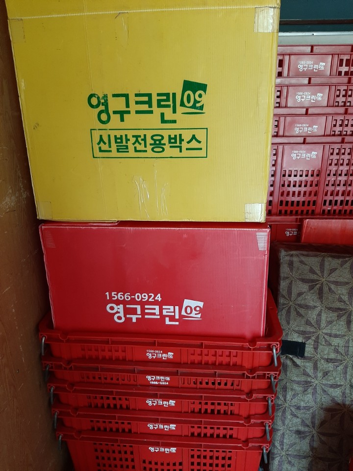 임혜영 후기 사진 4