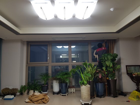 하영애 후기 사진 1