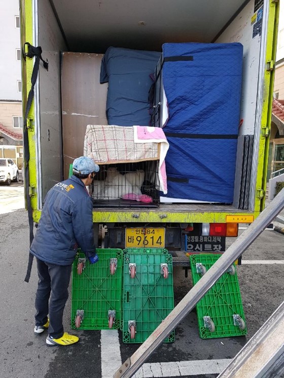 김정희 후기 사진 1