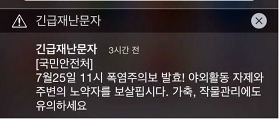 최설영 후기 사진 1