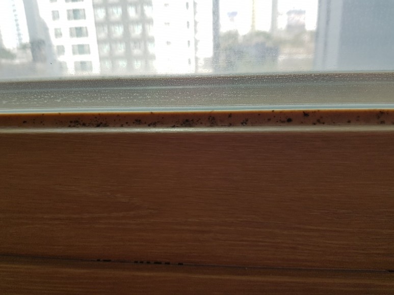 김혜진 후기 사진 14
