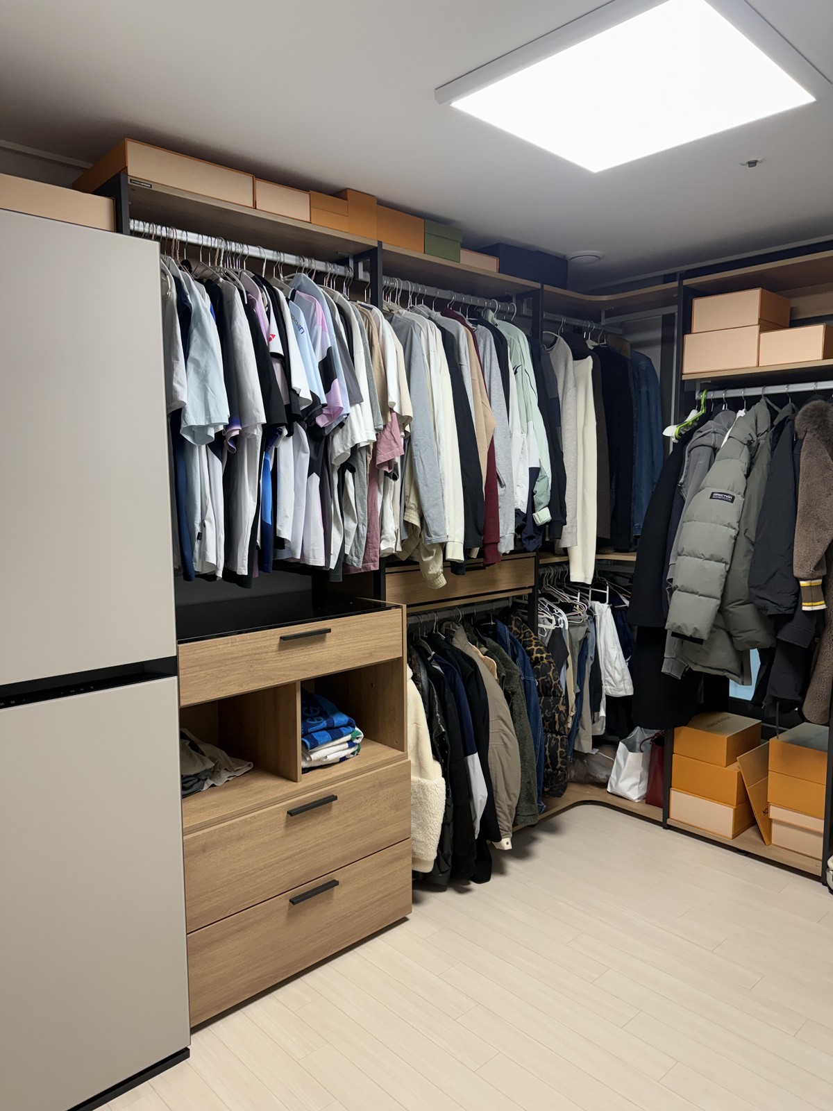 백장미 후기 사진 2