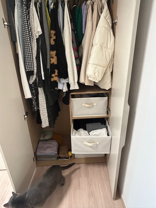 임정택 후기 사진 1