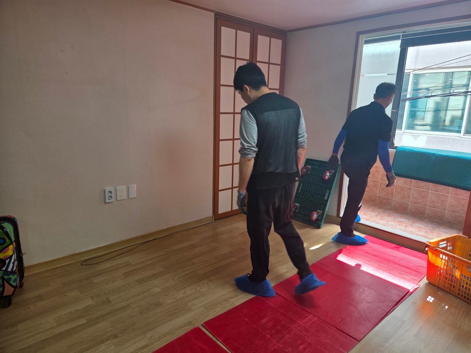 청량한 달빛 펭귄 후기 사진 1