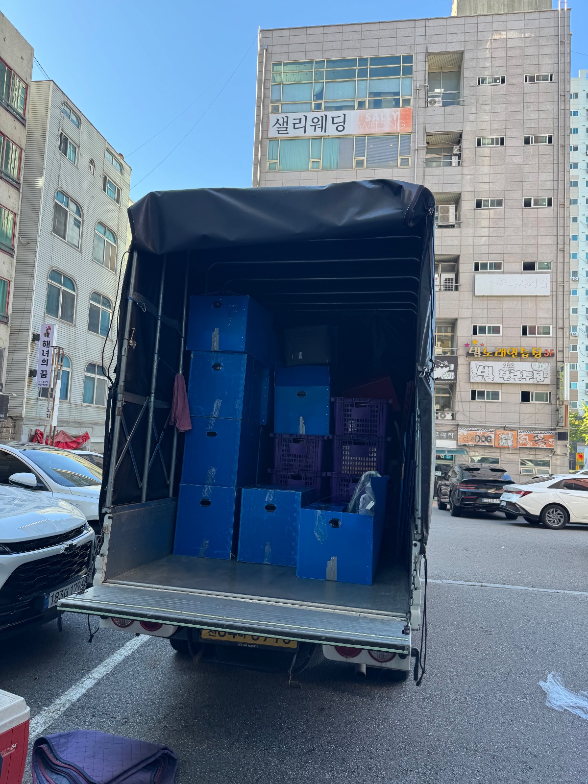 가뿐한 라벤더 북극곰 후기 사진 1