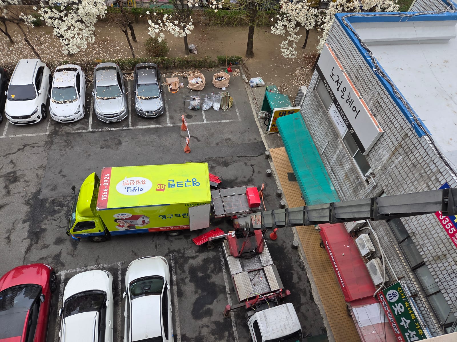 또렷한 폭포 염소 후기 사진 1