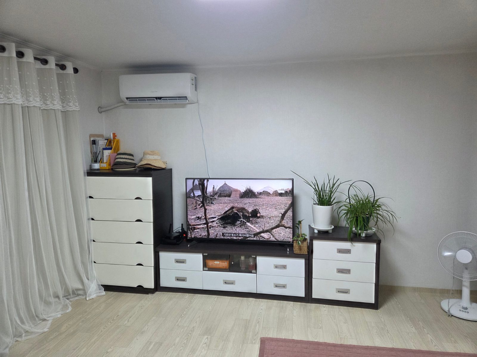 싱그러운 코스모스 올빼미 후기 사진 1