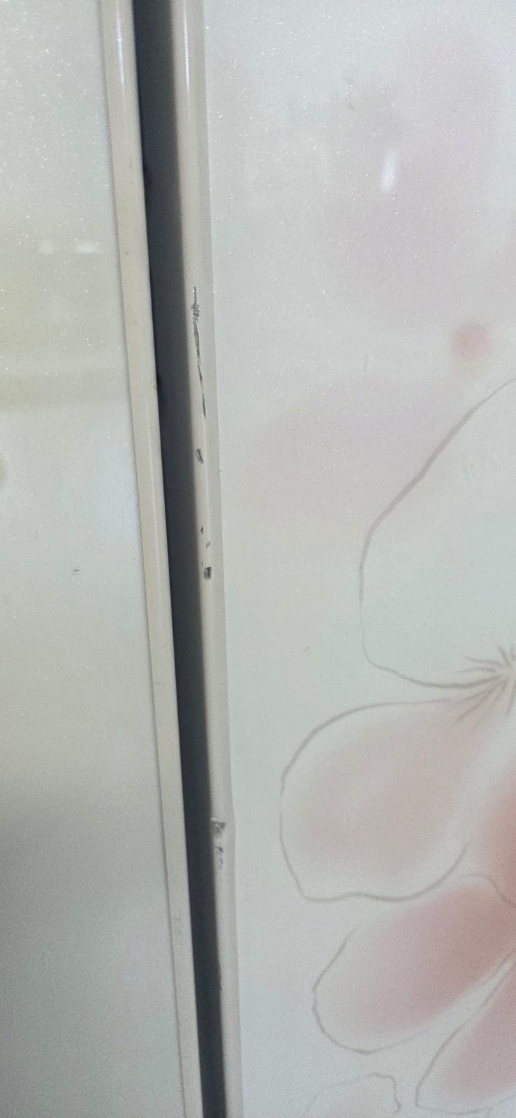 꼼꼼한 단풍 백조 후기 사진 4